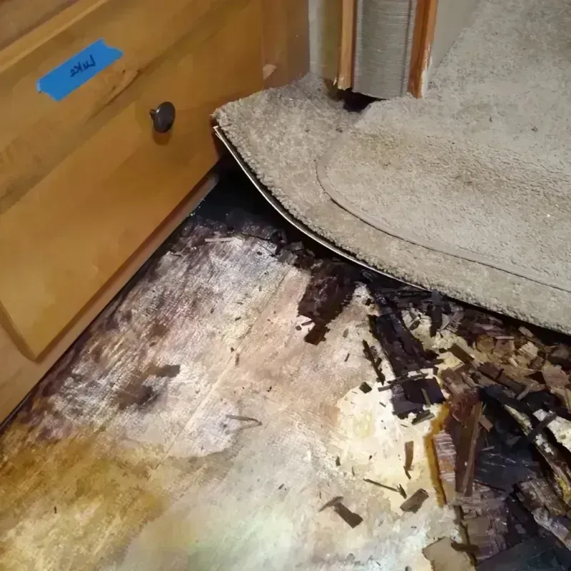 Wood Floor Water Damage in Homeland Park, SC